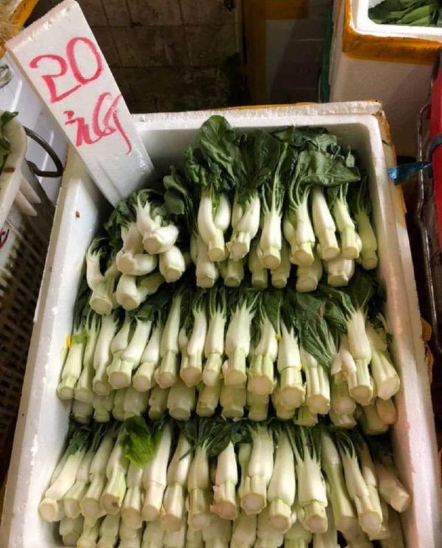 價格上漲圖 (4).jpg